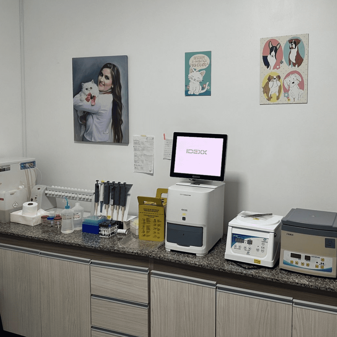 Espaço Vitta para pets