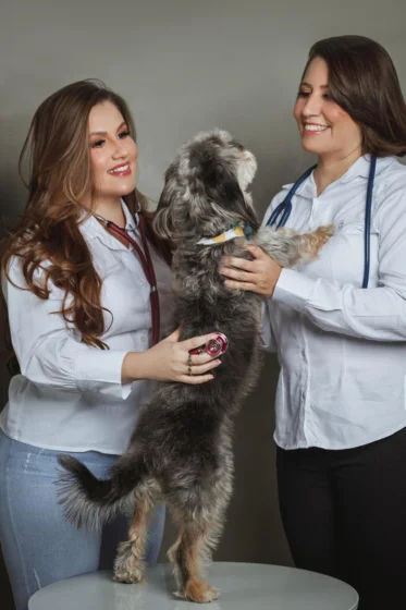 Equipe Vitta Clínica Veterinária